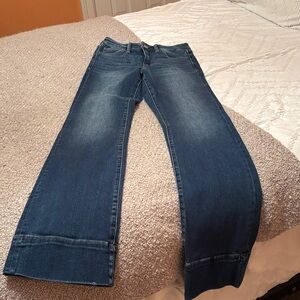 Elegant Blue Flare Jeans
